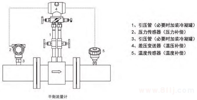 平衡孔板流量計(jì)結(jié)構(gòu)組成